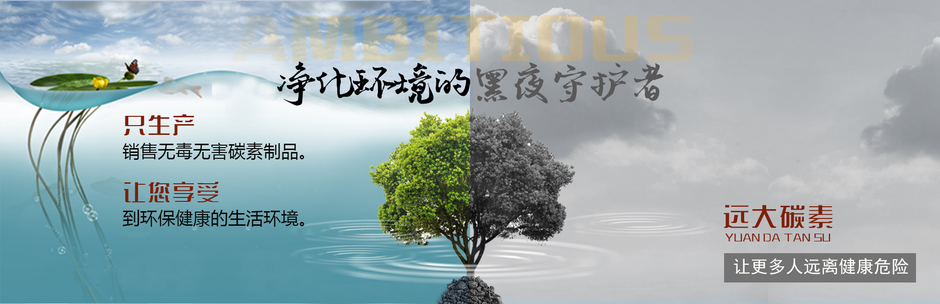19远大碳素.jpg